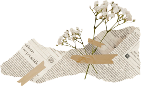 pressed gypsophila