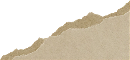 torn journal paper