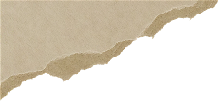 torn journal paper