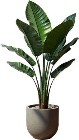 my desk plant